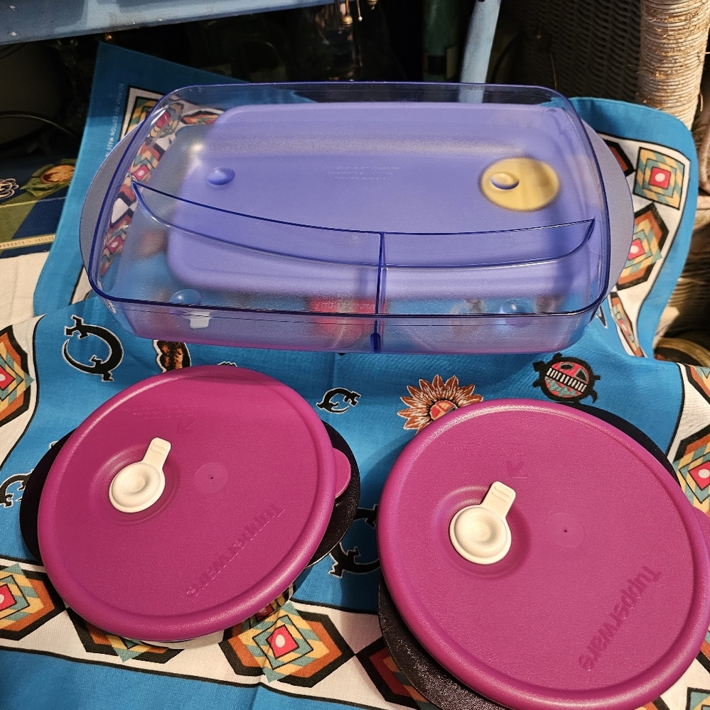 Tupperware Vent and Serve and Rock and Serve Divided Storage Container